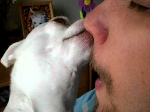 Daddy Gets Dog Licked