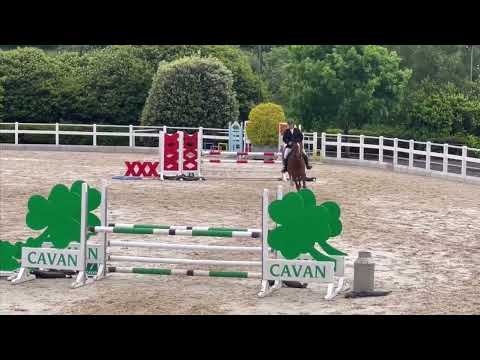 Cavan Lot : 38 complete amature/young rider horse - Image 2