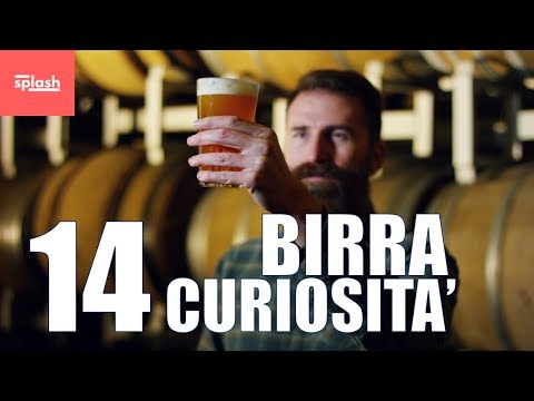Birra 14 curiosità che forse non sai | SPLASH