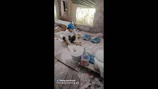 Đơn vẫn đi đều, cảm ơn các bác luôn ủng hộ khuôn chậu quảng ninh