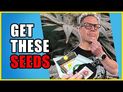 Don't Pop Your Cannabis Seeds Until You Watch THIS