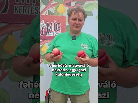 Caldesi 2010 őszibarack