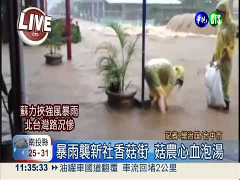 滂沱雨淹沒香菇街 菇農心血泡湯