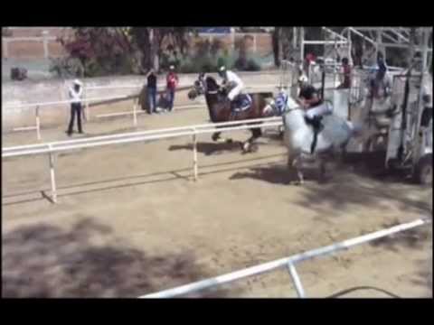 EL PARACAIDISTA VS EL ENANO