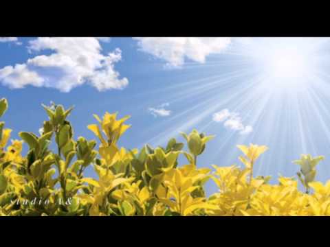 Ivan Puljić - Samo Nebo zna