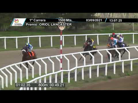210903 c01 - LOBISOME DA - HIPODROMO LAS PIEDRAS