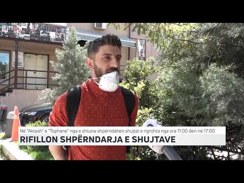 RIFILLON SHPËRNDARJA E SHUJTAVE | T7