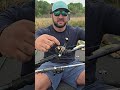 After 5 Years With My Lew S Tournament Pro LFS Ultimate Baitcast Reel