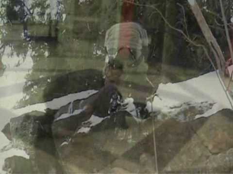 Poznańska Czarna Trzynastka - Zimowisko 2005