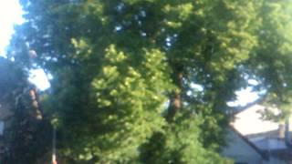 Alpha  moments of sometime later  fan fieldrec.