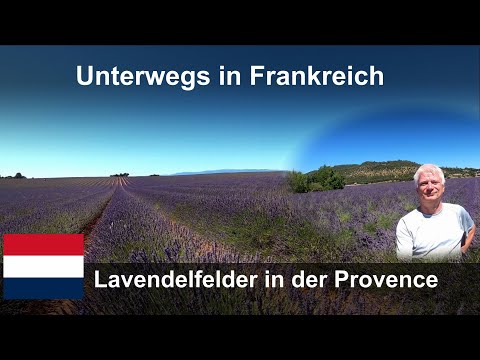 Frankreich: Lavendelfelder in der Provence