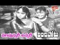 Bandipotu Movie Vayasunnadi Song NTR Krishna Kumari Old Telugu Songs OldSongsTelugu