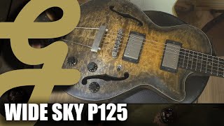 Video thumbnail for Wide Sky P125 by Guitarsenal