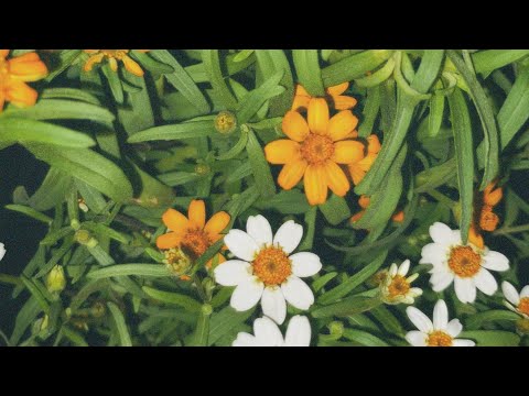 Minchang - want u back (Mixtape)|Cover