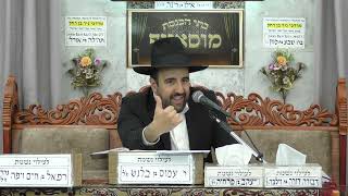 הרב מאיר אליהו | נכנס לגן עדן | מוסאיוף - ה׳תשפ״ה (הרב מאיר אליהו) - התמונה מוצגת ישירות מתוך אתר האינטרנט יוטיוב. זכויות היוצרים בתמונה שייכות ליוצרה. קישור קרדיט למקור התוכן נמצא בתוך דף הסרטון