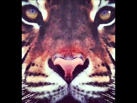 Surkin - Tiger Rhythm (Myd & Boston Bun Remix) [HQ]