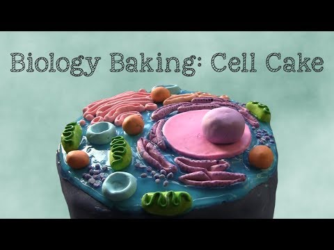 download lagu mp3 mp4 Cell Cake Recipe, download lagu Cell Cake Recipe gratis, unduh video klip Cell Cake Recipe