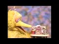Big Bird And Baby Natasha Peek A Boo