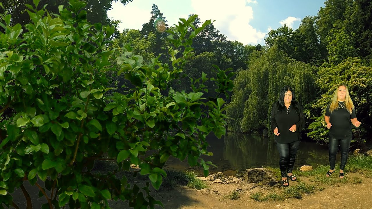 Gipsy JANKA - Slzy ja v očiach mám (cover)