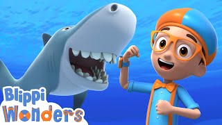 Larry the Shark! 🦈 Blippi Wonders 🦈 Moonbug Kids - Learning Corner