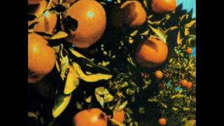 Shannon Wright Hinterland