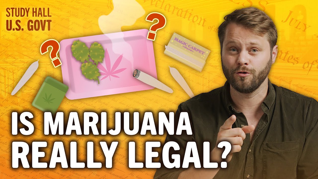 A Case of Federal vs. State Power | Power and Politics in US Government 5 of 30 | Study Hall