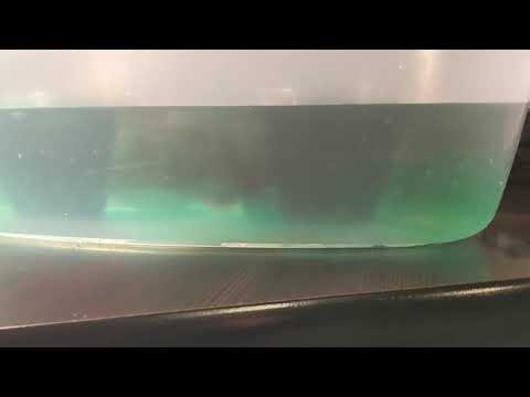 CI780 DEMO (Convection)