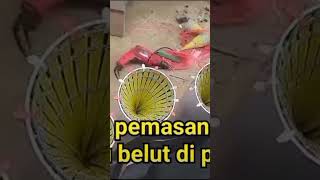 Download lagu Cara memasang injap bubu belut ke paralon #belut #belutbabon mp3 Download lagu Cara memasang injap bubu belut ke paralon #belut #belutbabon mp3