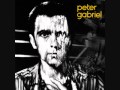 Lead a Normal Life - Peter Gabriel - ChrisMcRae Lead a Normal Life - Peter Gabriel