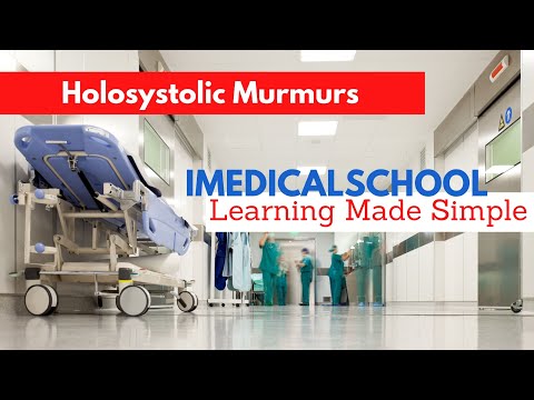 Holosystolic Murmurs Made Simple