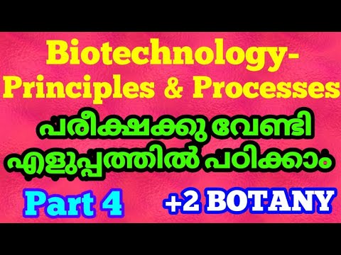 Plustwo botany biotechnology principles in Malayalam | part4 | +2 botany biotechnology | NCERT biolo
