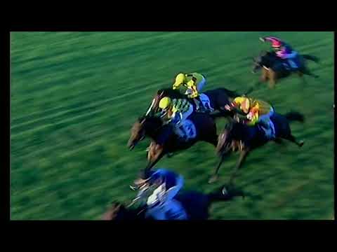 Napoli Galoppo 02/09/2022 - 5ª corsa