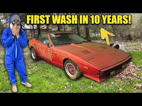 Thumbnail for First Wash In 10 Years: TVR 280i INFESTED with Ants!| Car Detailing Restoration by TVR