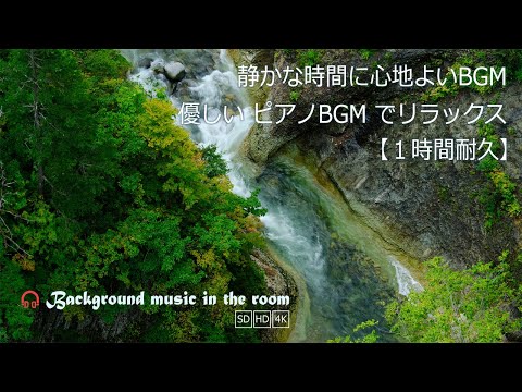 パーゴラ庭園休憩所用の植物