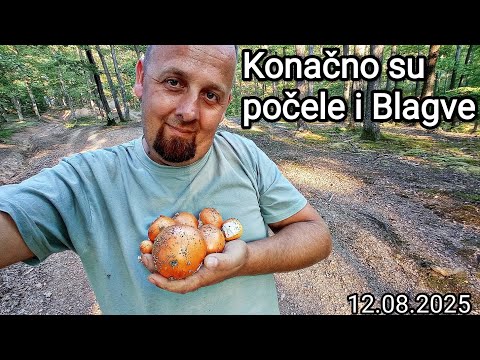 GLJIVE SA ALDINOM - POTRAGA ZA BLAGVAMA