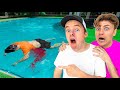 SOMEBODY WAS MURDERED In Our Pool?!