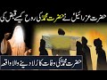 Death Of Prophet Muhammed saw | Hazrat Muhammed saw Ki Wafat Ka Qissa | Rohail Voice