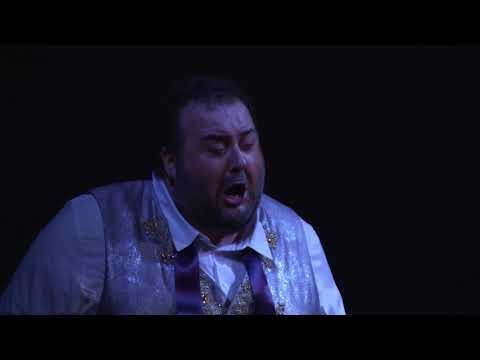 Un ballo in maschera (2017/18) "Forse la soglia attinse"