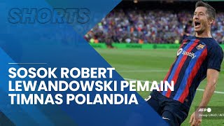 Profil Lewandowski, Pemain Timnas Polandia untuk Piala Dunia 2022 Qatar Asal Klub Barcelona