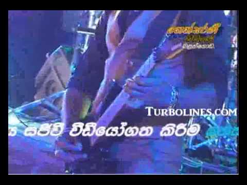 dimanka wellalage with sanidapa samanaliya song