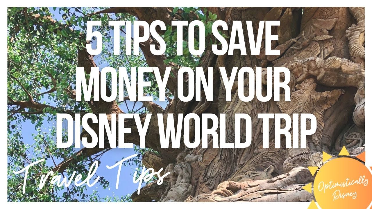 5 Money Saving Tips for Your Disney Trip
