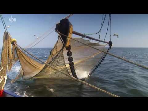 Land im Gezeitenstrom 03 Friesland zwischen Weser und Jade [HD]