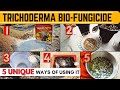 5 UNIQUE Ways Of Using Trichoderma Bio Fungicide In Garden How To Multiply Trichoderma Viride