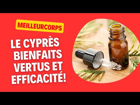 LE CYPRÈS : BIENFAITS, VERTUS, EFFETS ET EFFICACITÉ!