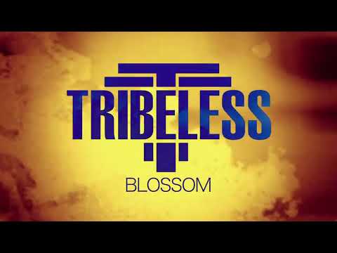 Tribeless - Blossom (Official Music Video)
