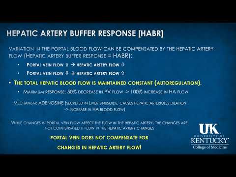 Hepatology Keyword Review 2019 - (Dr. Rebel)