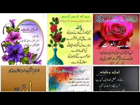Best Good Morning Quotes In Urdu || Subah Bakhair Images || Good Morning Wishes For Love