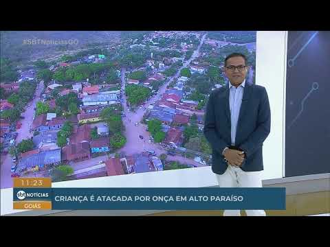 Criança é atacada por onça em Alto Paraíso de Goiás