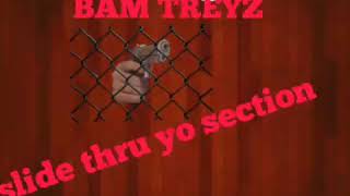 VALLEY HI BRIS × BAM TREYZ SLIDE THRU YO SECTION [[EXCLUSIVE AUDIO]]