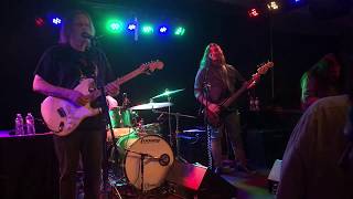 Gonna Hurt Like Hell, Walter Trout, Moe's Alley 5-19-18